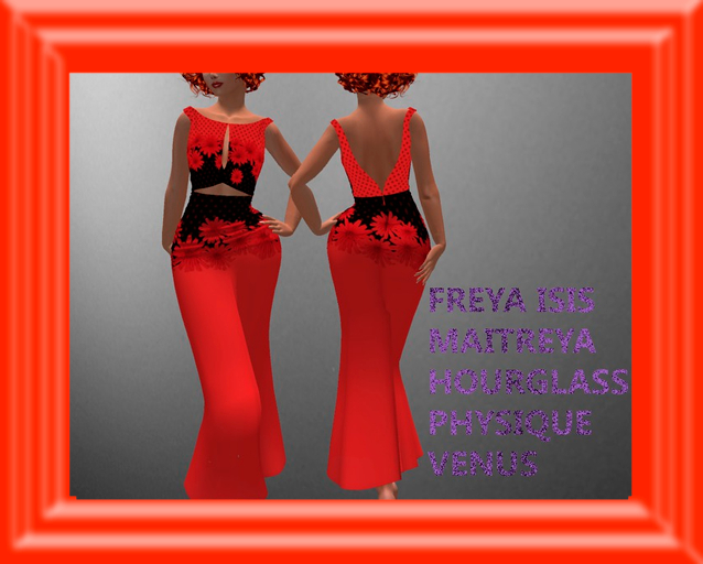 Dress 87 chrysanthemum DEMO
