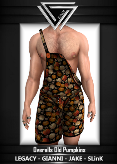 B.GAB*Old Pumpkins Overalls