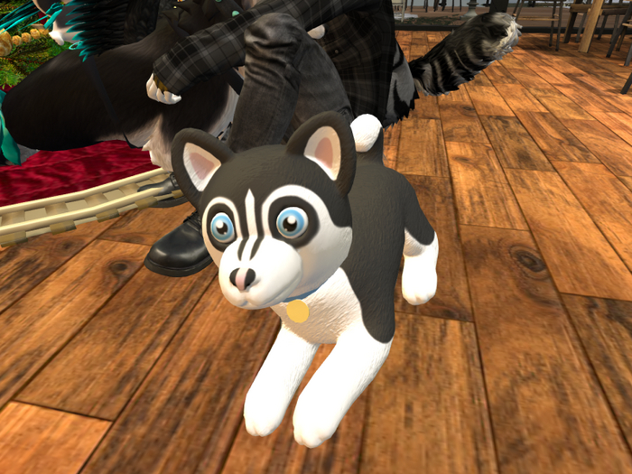 Husky Plushie