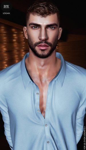 BW SHAPES - LOGAN FOR LEL EVOX LOGAN 3.1