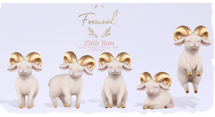 Foxwood - Little Ram