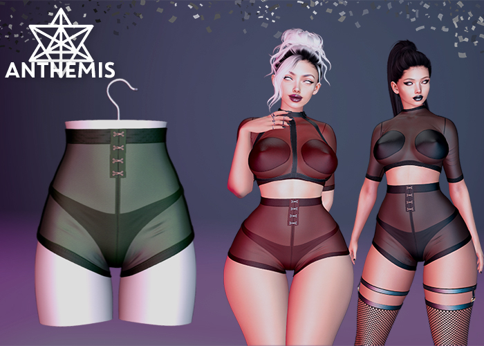 Anthemis - Shorts "N13" - Color#6