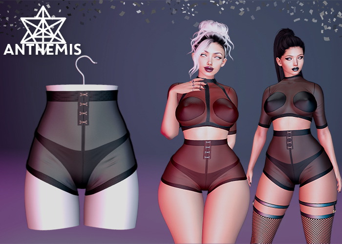 Anthemis - Shorts "N13" - Fatpack