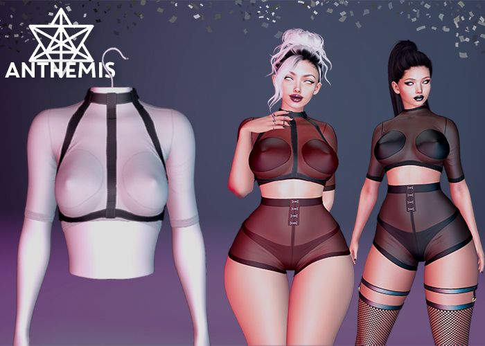 Anthemis - T-Shirt "N13" - Color#1