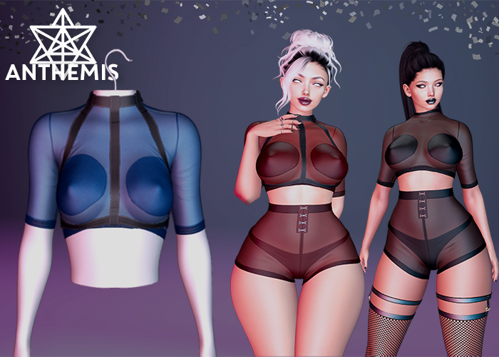 Anthemis - T-Shirt "N13" - Color#10