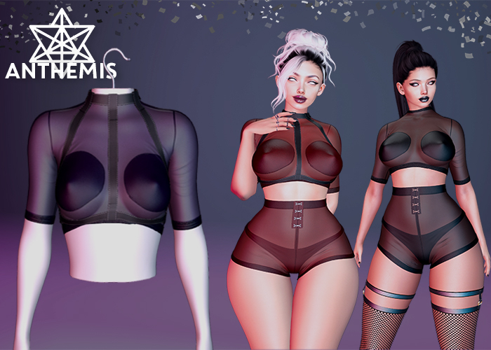 Anthemis - T-Shirt "N13" - Color#12