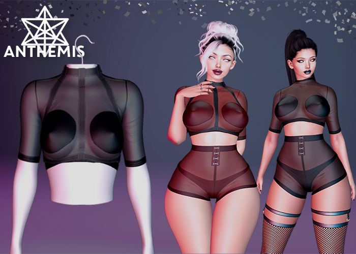 Anthemis - T-Shirt "N13" - Color#3