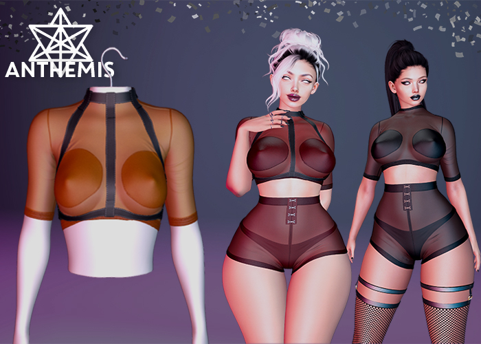 Anthemis - T-Shirt "N13" - Color#4