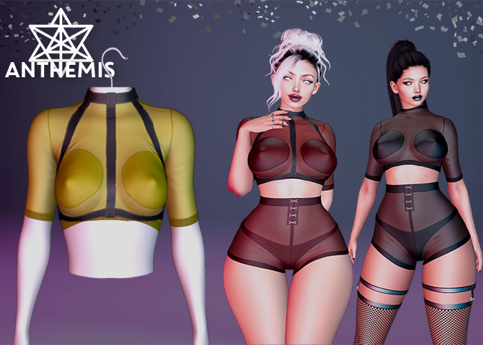 Anthemis - T-Shirt "N13" - Color#5