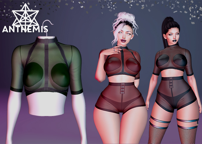 Anthemis - T-Shirt "N13" - Color#6