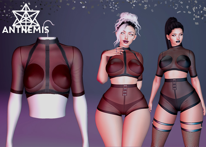 Anthemis - T-Shirt "N13" - Color#7