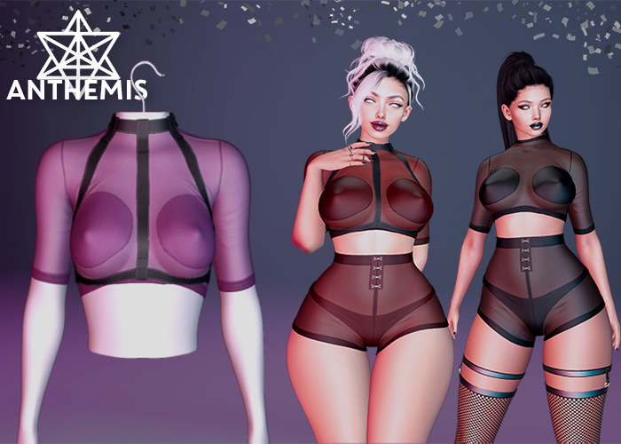 Anthemis - T-Shirt "N13" - Color#8