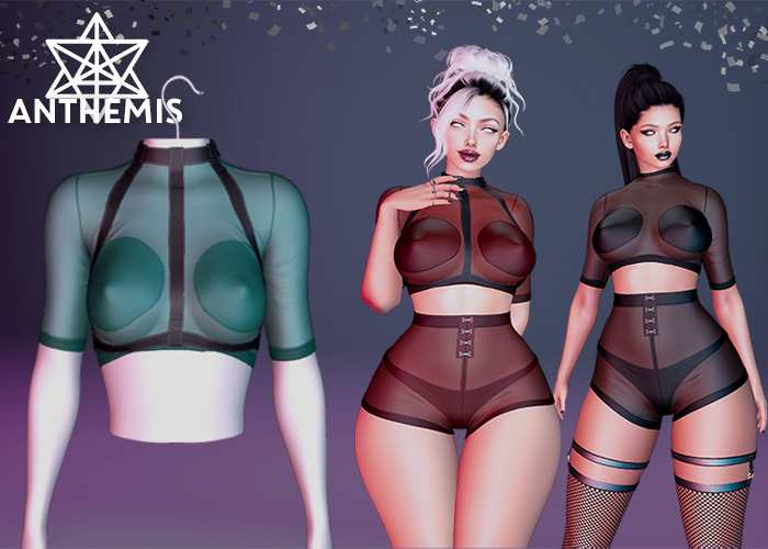 Anthemis - T-Shirt "N13" - Color#9