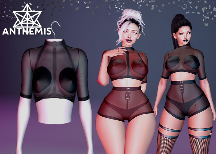 Anthemis - T-Shirt/Shorts "N13" - Fullset