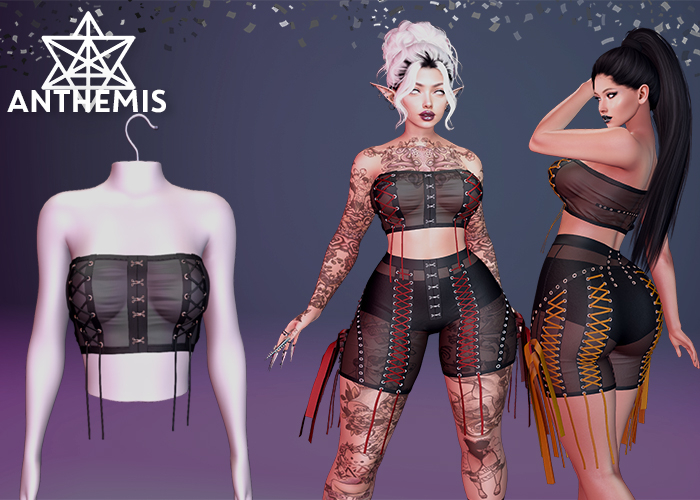 Anthemis - Top/Shorts "N14" - Fullset