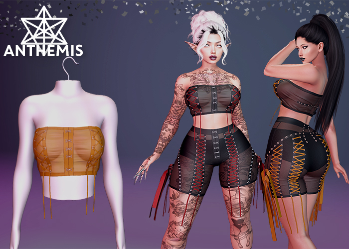 Anthemis - Shorts "N14" - Color#5