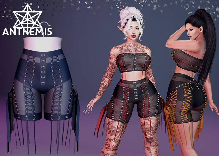 Anthemis - Shorts "N14" - Color#11
