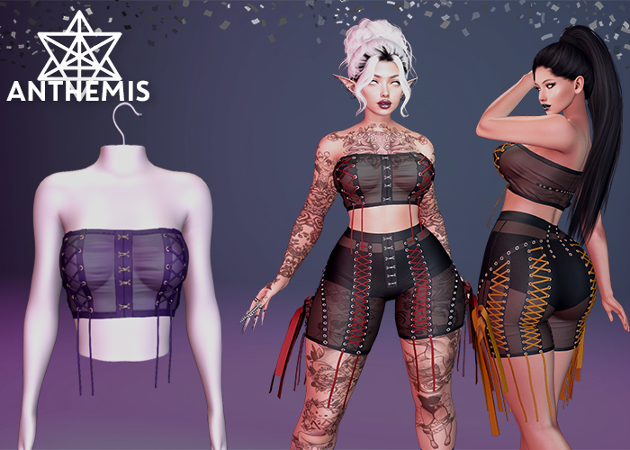 Anthemis - Top "N14" - Color#11