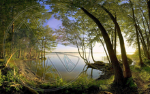 93 - Forest - Trees and Lake - Land Divider - Privacy Screen