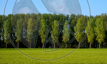 96 - Summer - Green Grass and Row of Trees - Land Divider - Privacy Screen