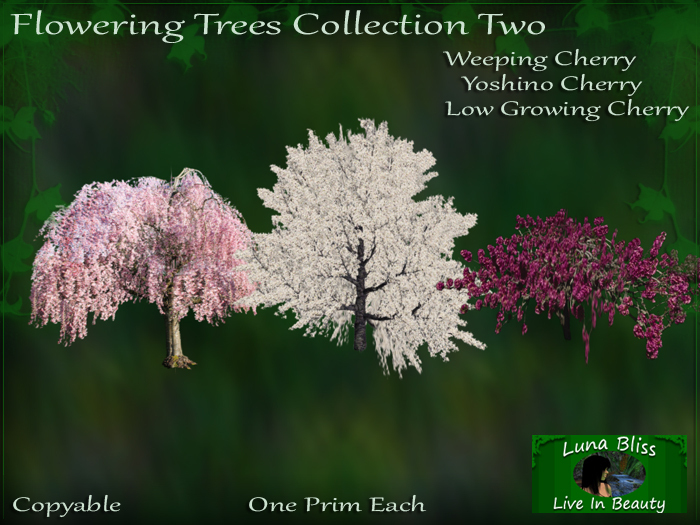 Flowering Trees Collection Two By Luna Bliss - Cherry Trees