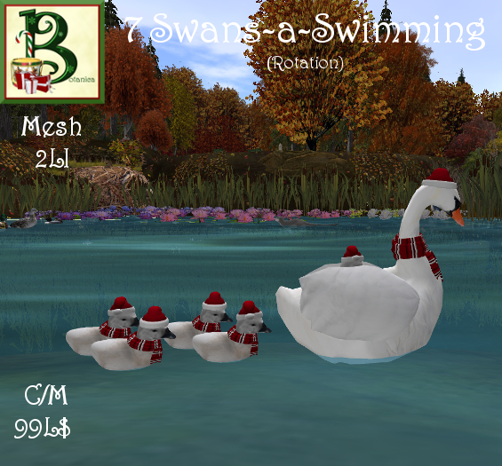 7 Swans-a-Swimming, Circle Rotation, 2LI