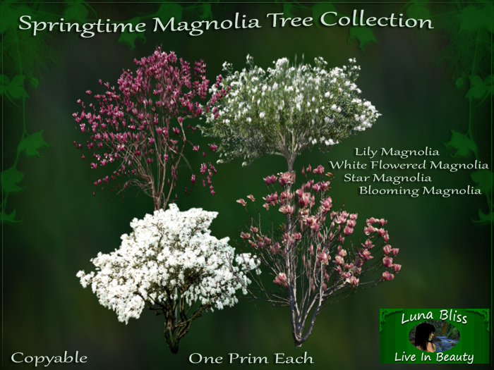 Springtime Magnolia Tree Collection By Luna Bliss - Flowering Trees