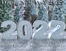 Mesh NUMBERS ***SET Christmas decoration 2022 with poses