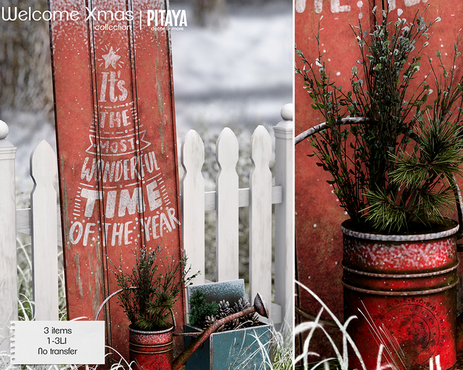 Pitaya - Welcome Xmas