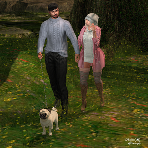 [Panthar Pose] Couple Walking Dog