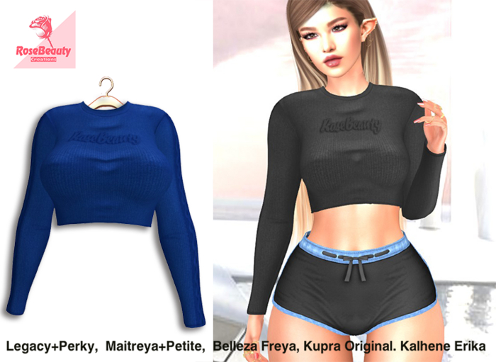 RoseBeauty _ Pullover  /  Blue