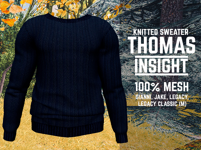 [INSIGHT] Knitted sweater THOMAS BLUE