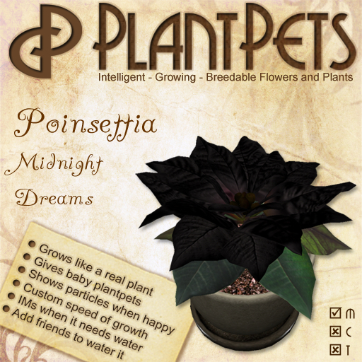 PlantPet Seed [Poinsettia *Midnight Dreams*] Updated