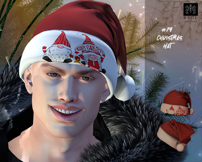 ::TW::#79 Christmas Hat  