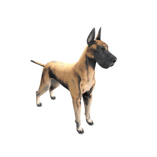 DOG-Royal -Greatest Dane Brindle 