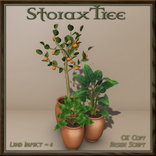 Citrus Planter Grouping B5