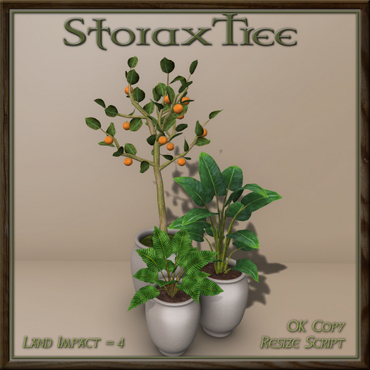Citrus Planter Grouping B2