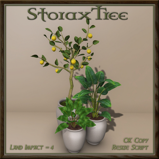 Citrus Planter Grouping A2