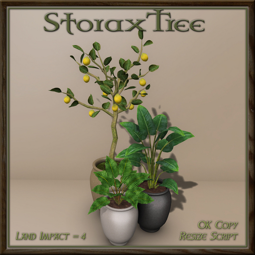 Citrus Planter Grouping A1