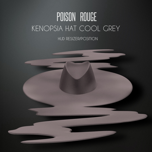POISON ROUGE Kenopsia Hat - Cool Grey