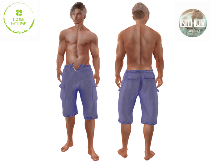 Cargo-shorts-INITHIUM-KARIO v2 Demo