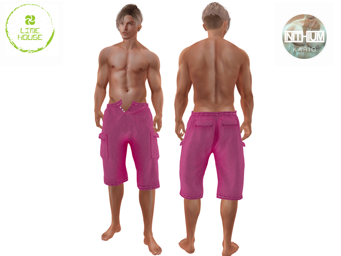 Cargo-shorts-INITHIUM-KARIO v5  Demo