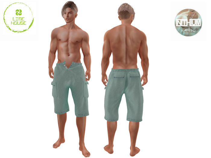 Cargo-shorts-INITHIUM-KARIO v6 Demo