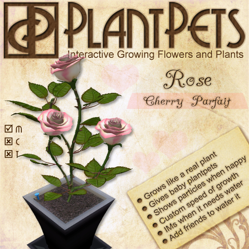 PlantPet Seed [Rose *Cherry Parfait*] - COMMON