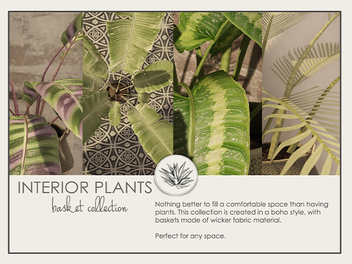 FINCA - basket plants collection