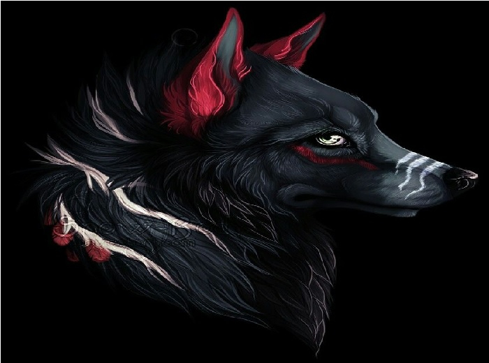 All Black Female Wolf Cub Box