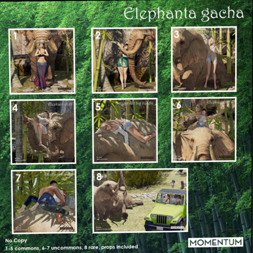 7. [uncommon] Momentum - Elephant Couple Gacha
