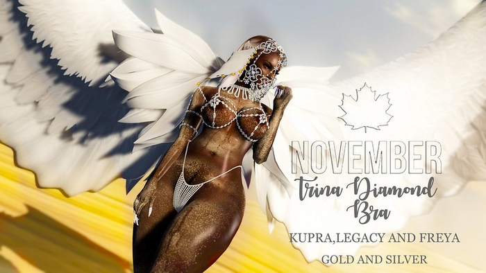 Nov-Trina Diamond Bra (S)
