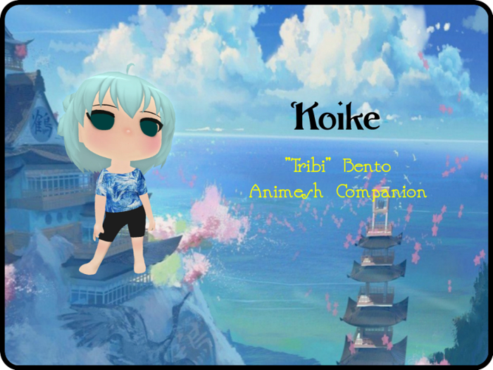 ~Tribi 12 - "Koike"~