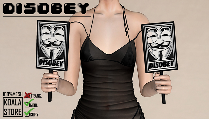 // KOALA STORE // Disobey